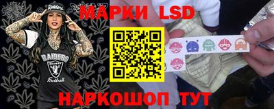 твердый Новодвинск