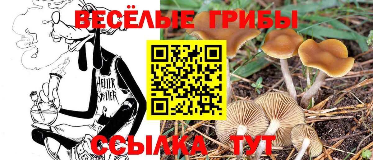 Псилоцибиновые грибы GOLDEN TEACHER Солнечногорск