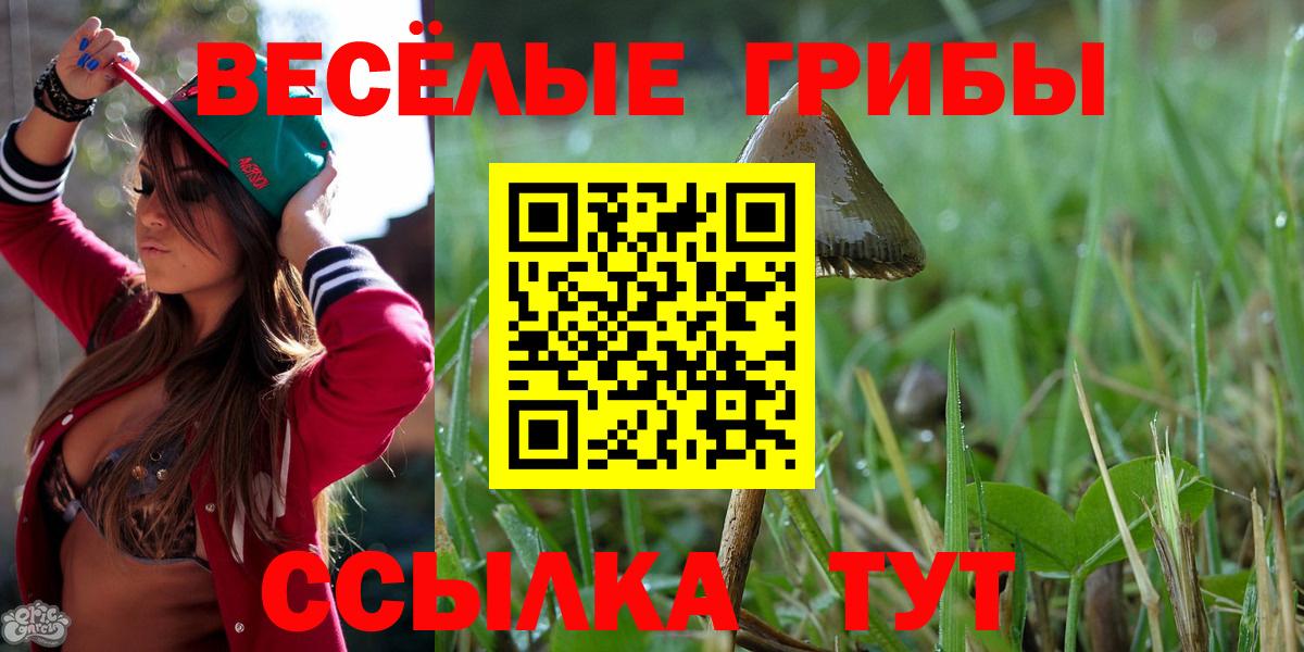 где купить наркотик  Псилоцибиновые грибы Psilocybine cubensis  Вход с VPN  Солнечногорск 
